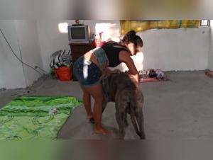 Sex with a dog: she loves sucking his big cock