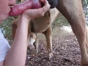 Woman and dog: a shocking and exciting encounter