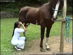 Woman giving fellatio to a horse: Extreme zoophilia video