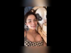 Sensual dance with a dog: a shocking bestiality video