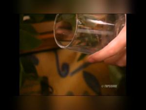 Unveiling Darkness: Zoophilia and Canine Behavior