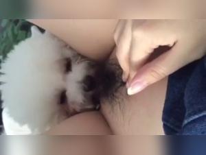Bestiality sex scene with a young Asian woman and a dog