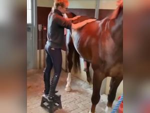Bestiality with Horses: Banned Videos