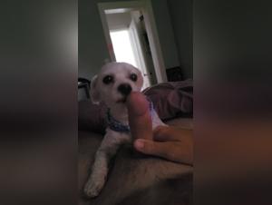 Unveiling Xvideoszoo's Taboo Delights