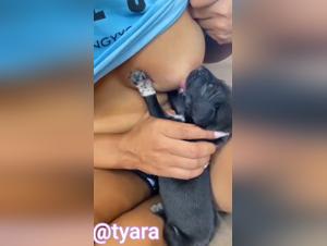 Dog Sex Video: An Exciting Lactation Experience
