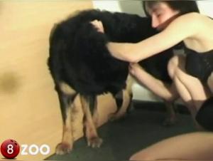 Blowjob with a dog: an exciting zoophilia video