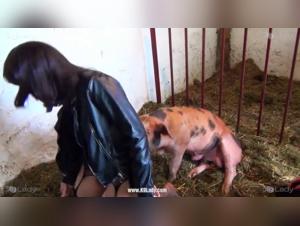 girl meets dog in zoo