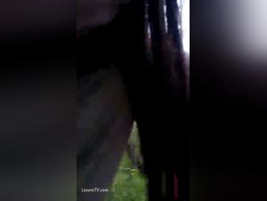 Zoo Porno Desvelado: Deseos Animalistas y Fantasias Sin Limites