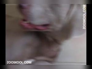 Una leccion de bestialidad intensa con Zooskool Simone