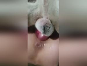 Bestiality with an 18-year-old young woman and her dog