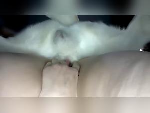 Beastiality Porn: Find the Best Animal Sex Sites Here