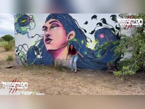 Descubriendo los Secretos de TickZoo