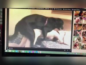 Bestiality Sex Video: An Extreme Experience