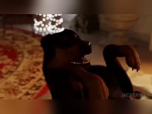 A submissive woman and a dog in an extreme zoophilia video