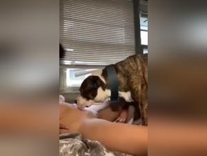 Rencontre bestiale et intense après l'entraînement