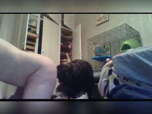 beastie gals and dogs