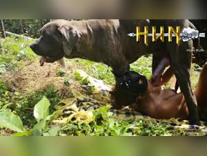 Sexo Animal Desatado: El Placer Depravado de las Putas