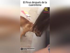 Woman and Dog: A Bestial Experience