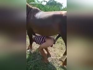 Extreme Porn: Caballo cachondo fucking dog and brunette sucks dog