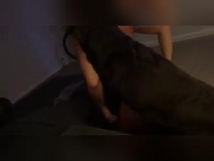 best friend on all fours