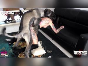 The hottest zoophilia videos with Raven - Unbeatable prices!