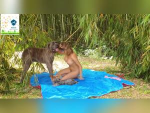 forbidden pleasures: zoophilic exploration