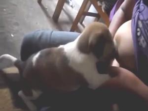 Sex with a Dog Video: Woman Breastfeeds a Puppy
