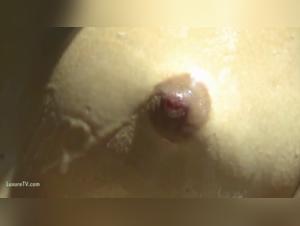 Lente exploration de la bestialité zoophile