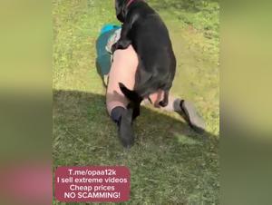 Woman and dog: a bestial and exciting encounter