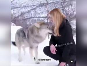 frolicing and animal