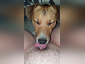 Dog deeply licks naughty woman