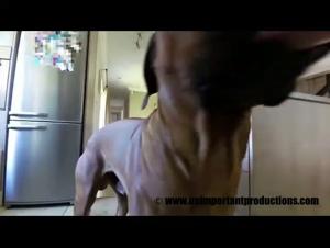 free videos zoo beeg