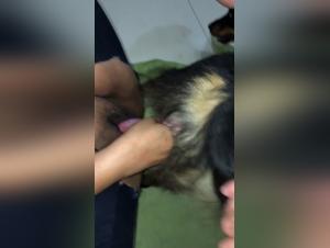 forbidden frontiers: canine zoophilia