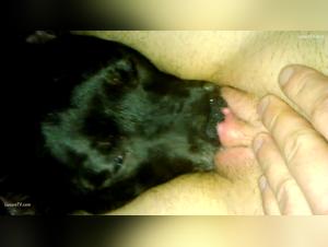 Forbidden Meeting: Woman and Dog