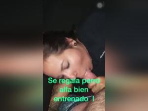 Bestiality sex videos with a couple and a dog