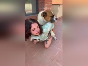 animalsex love with dog