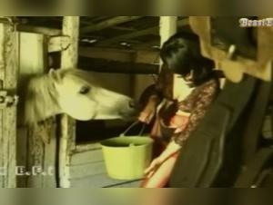 Forbidden Meeting with a Black Horse