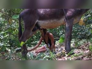 Bestiality with a Dog