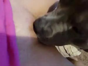 A Sensual Experience: Woman and Dog