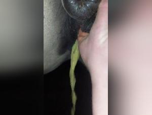 Passionate Animal Encounter: Woman and Horse