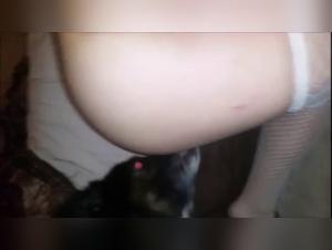 Woman and dog: a compilation of shocking and exciting bestiality videos