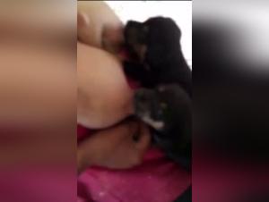 Generous breasts and hungry dog: a scene of extreme zoophilia