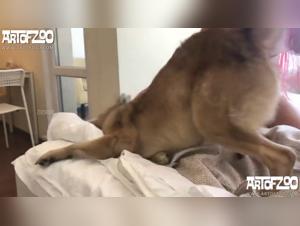 Experiencias de Zoofilia - La salope animal se siente a su perro sexy en una video porno