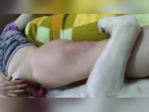 Muschi reiben: Ein extremes Sexerlebnis mit einem Hund