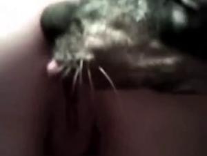 Pornzo: Sex with Dog