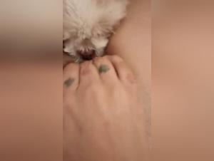 Woman and dog in shocking bestiality scene
