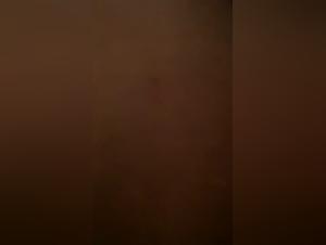 Banned video: Woman and dog in a bestial relationship