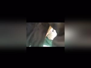 Horse Bestiality Compilation: An Extreme Experience