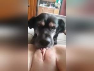 Bestial encounter: woman and dog