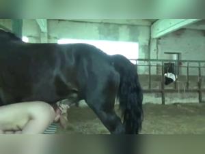 Bestiality Video: An Extreme Experience with a Horse
